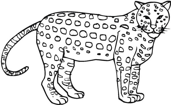 600x370 Pretty Ideas Cheetah Coloring Pages For Adults Toddlers Easy Baby