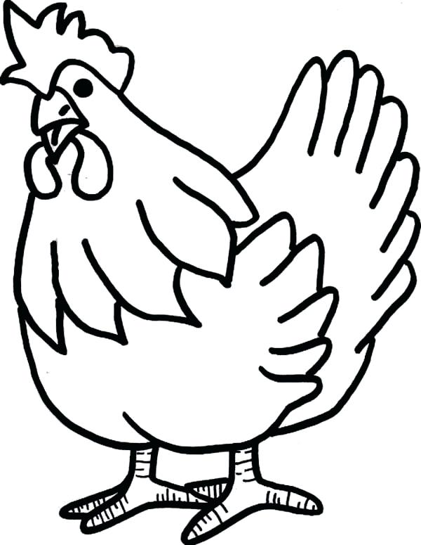 600x775 Chicken Coloring Pages Free Printable Plump Chicken Coloring Page