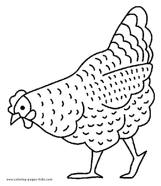 522x602 Free Chicken Colouring Pictures Printable Coloring Farm Project