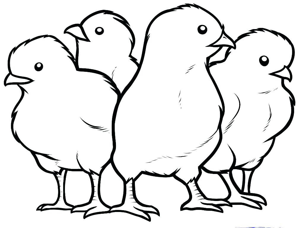 1022x768 Baby Chick Coloring Pages Baby Chick Coloring Kids Colouring Pages