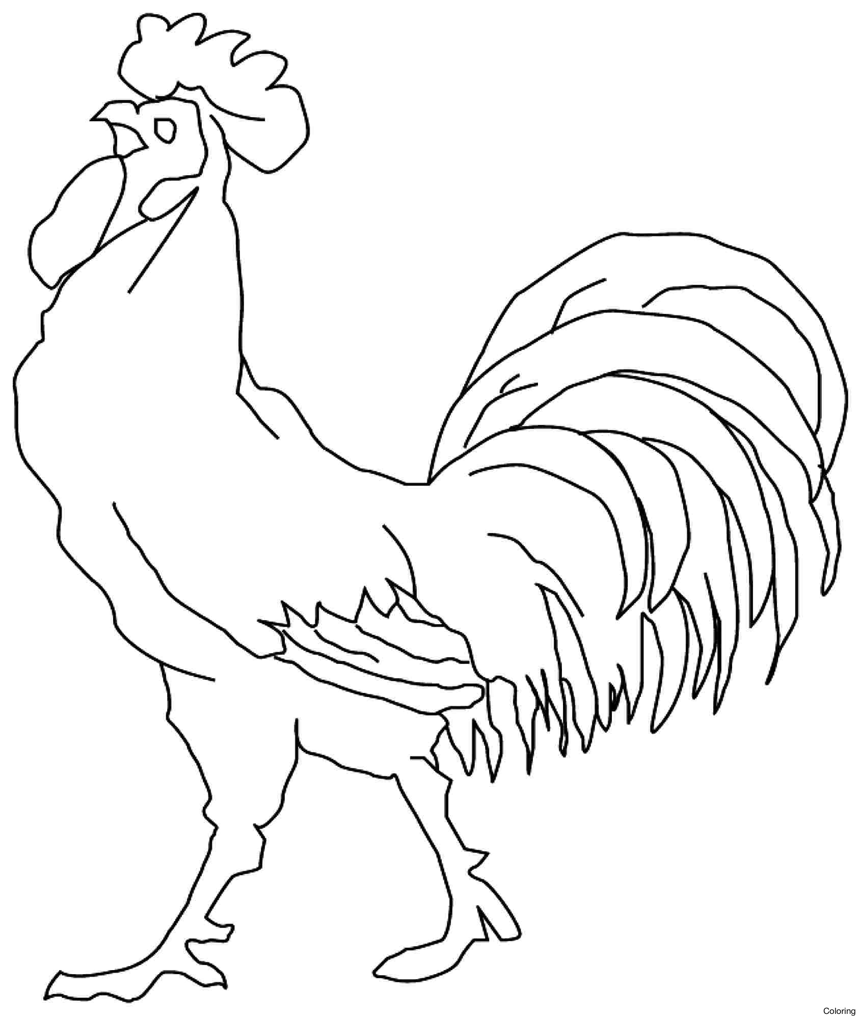 1690x2000 Best Of Chicken Coloring Page Gallery Printable Coloring Sheet