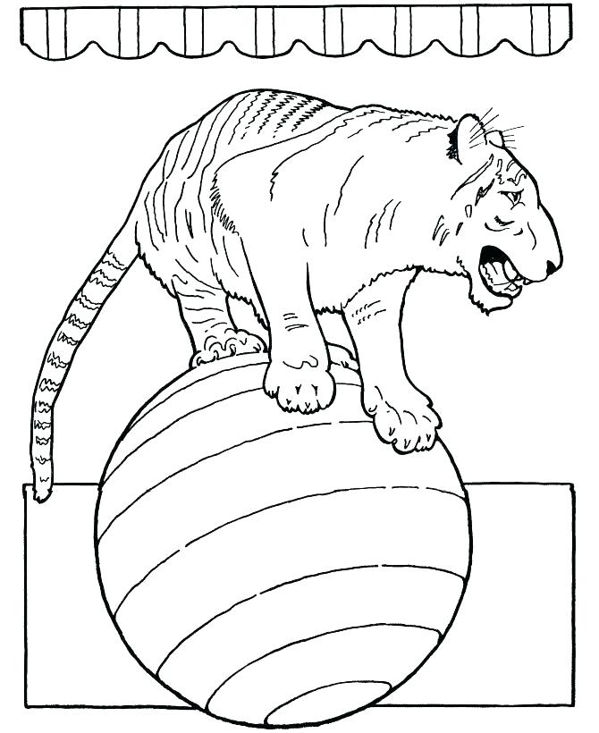 670x820 Circus Coloring Pages Printable Circus Animals Coloring Pages Free