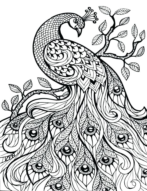 618x800 Color By Number For Adults Pdf Color By Number Worksheets Free