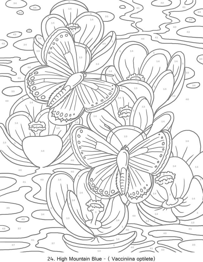 650x839 Adult Color By Number Pages