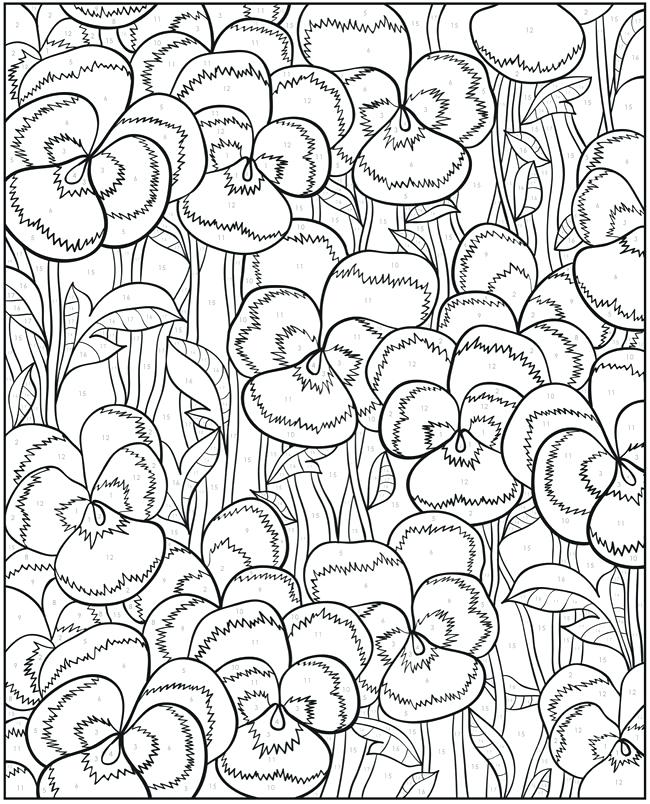 650x804 Colorama Coloring Pages Medium Size Of Coloring Pages Photo
