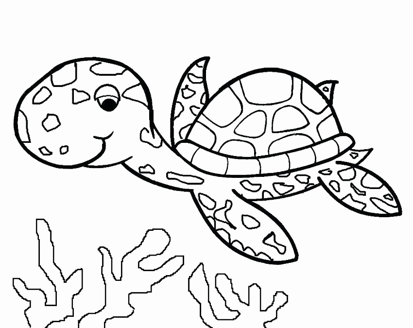 850x675 Colorama Coloring Pages Pics Coloring Book Turtle Yvonnetang