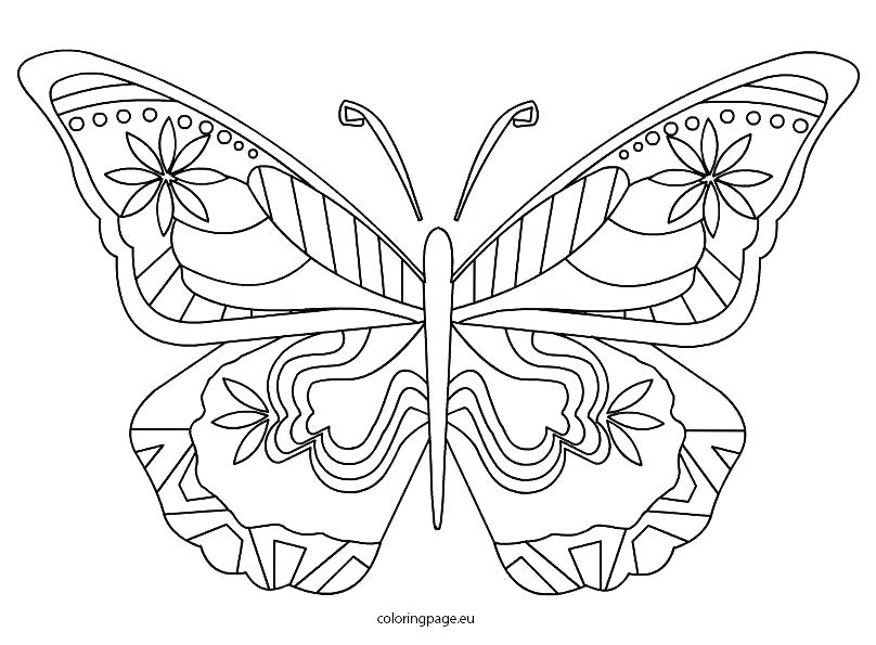 808x595 Coloring Book Butterfly Butterfly Coloring Book Together