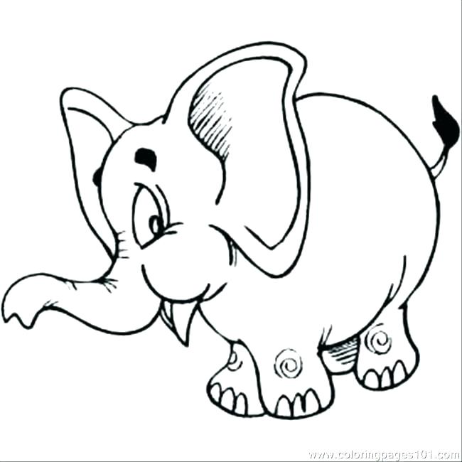 650x650 Colorama Coloring Book Elephant Kids Coloring Elephants Coloring