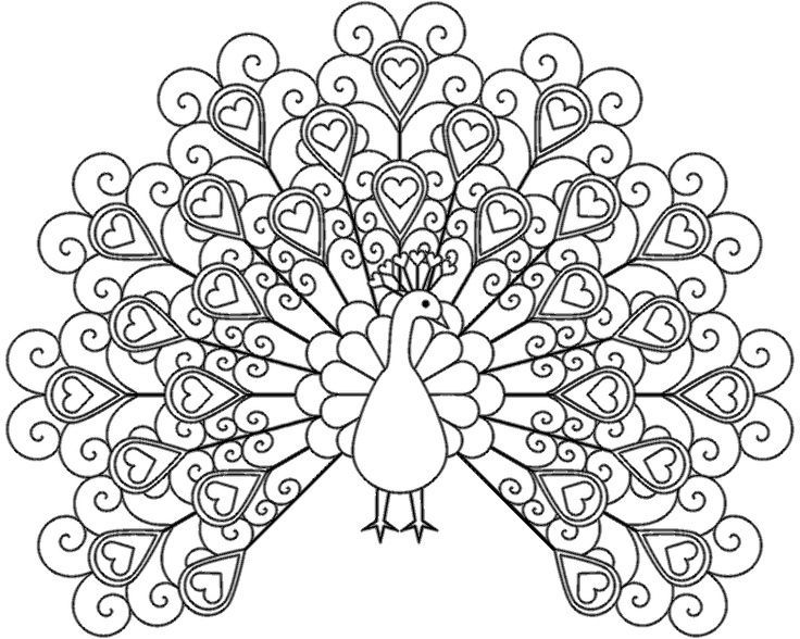 736x588 Pretentious Design Free Printable Coloring Pages For Adults Only