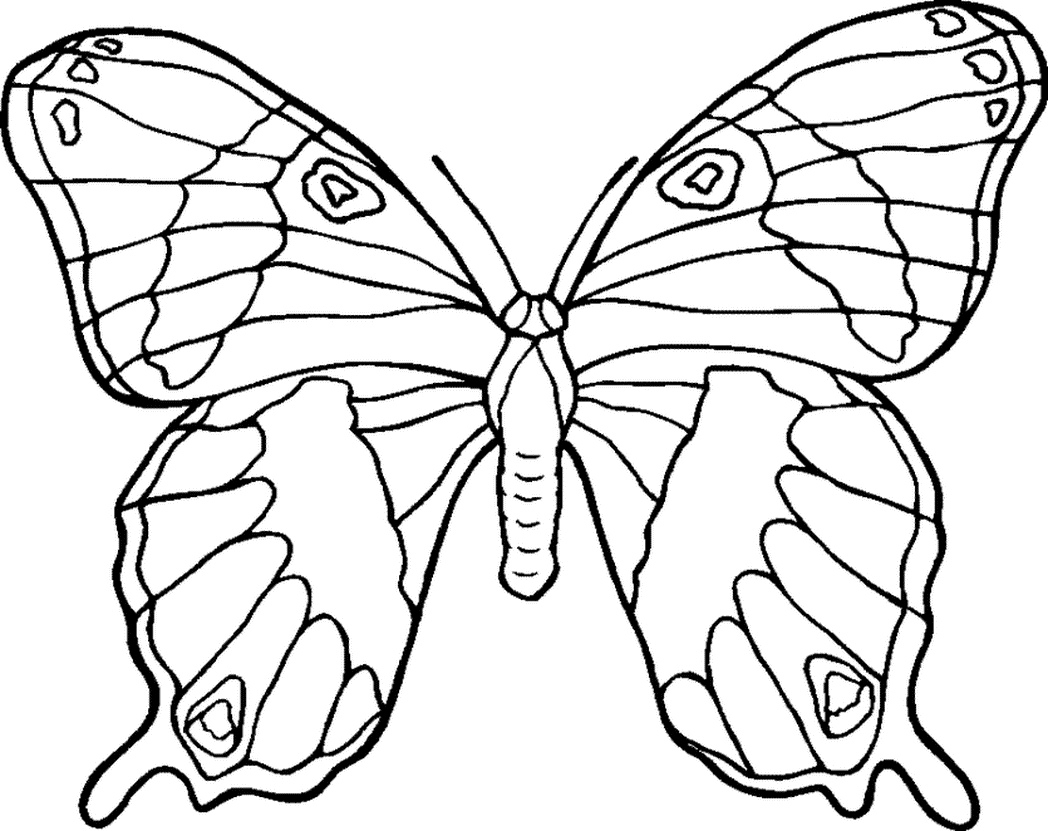 1048x831 Printable Coloring Pages Of Flowers And Butterflies Printables