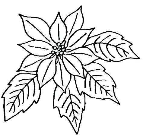 474x451 Coloring Book Pages Flowers Coloring Book Pages Summer Printable