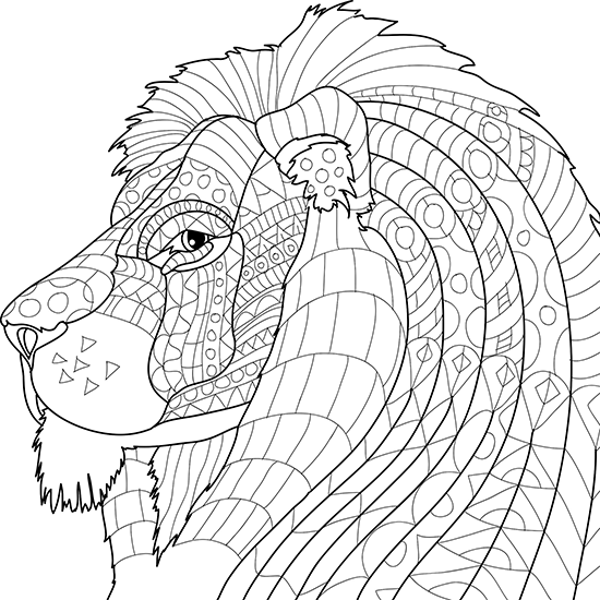 550x550 Animal Coloring Pages For Adults
