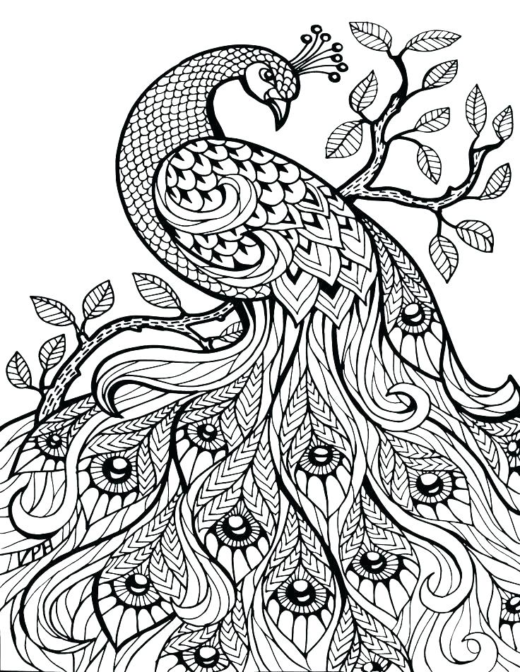 736x952 Downloadable Coloring Pages Downloadable Coloring Pages Free
