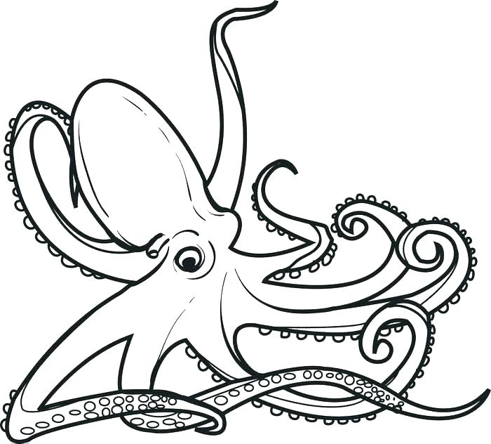 700x632 Printable Ocean Pictures Free Ocean Coloring Pages Free Ocean