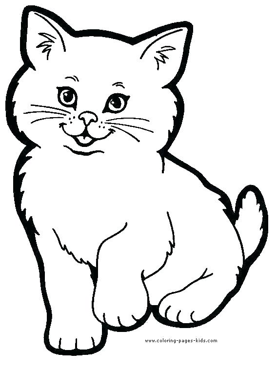 568x760 Animal Coloring Book For Kids