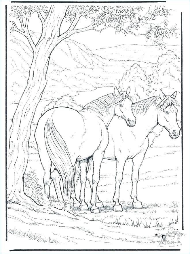 660x880 Barbie Horse Coloring Page Coloring Horse Free Coloring Pages