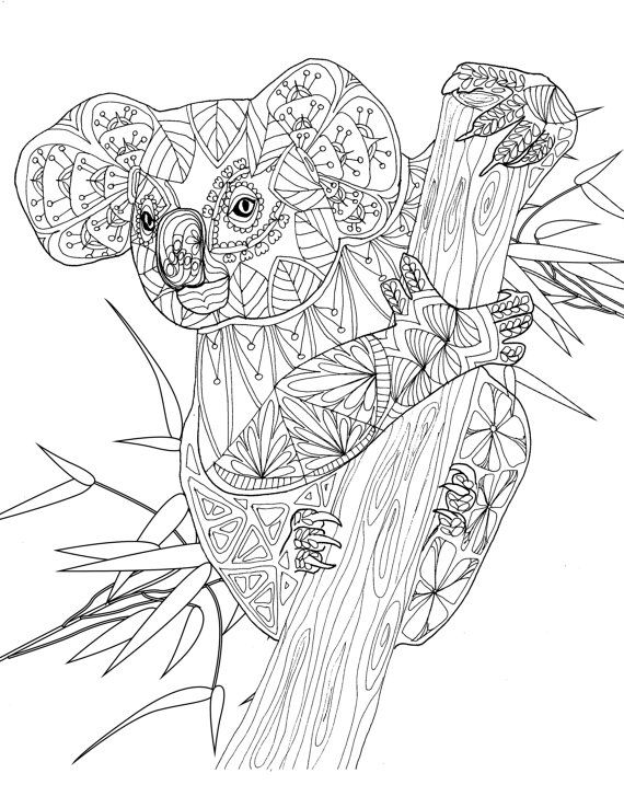 570x738 Adult Coloring Book, Printable Coloring Pages, Coloring Pages