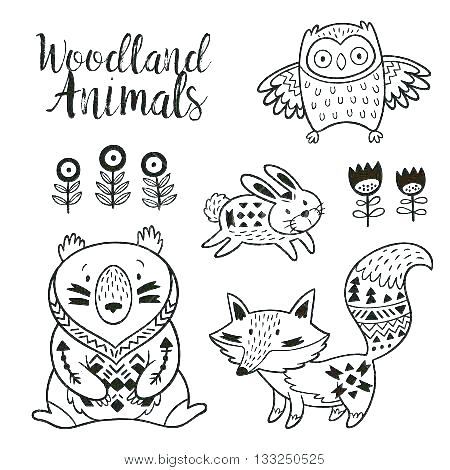 450x470 Animal Coloring Book For Kids Owl Coloring Sheets Printable