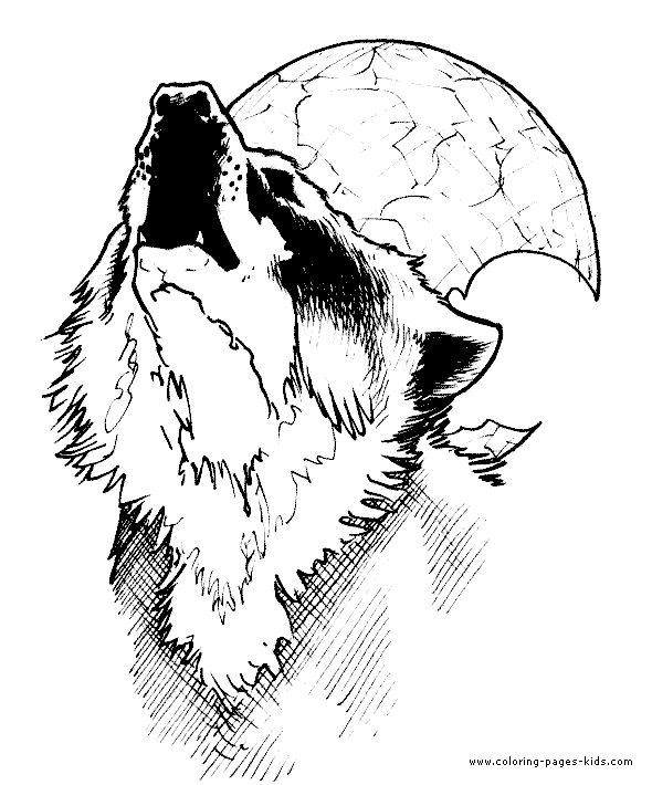 590x710 Free Printable Coloring Pages For Adults More Free Printable