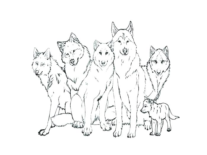 700x525 Wolf Coloring Pages To Print Coloring Pages Wolf Wolf Coloring
