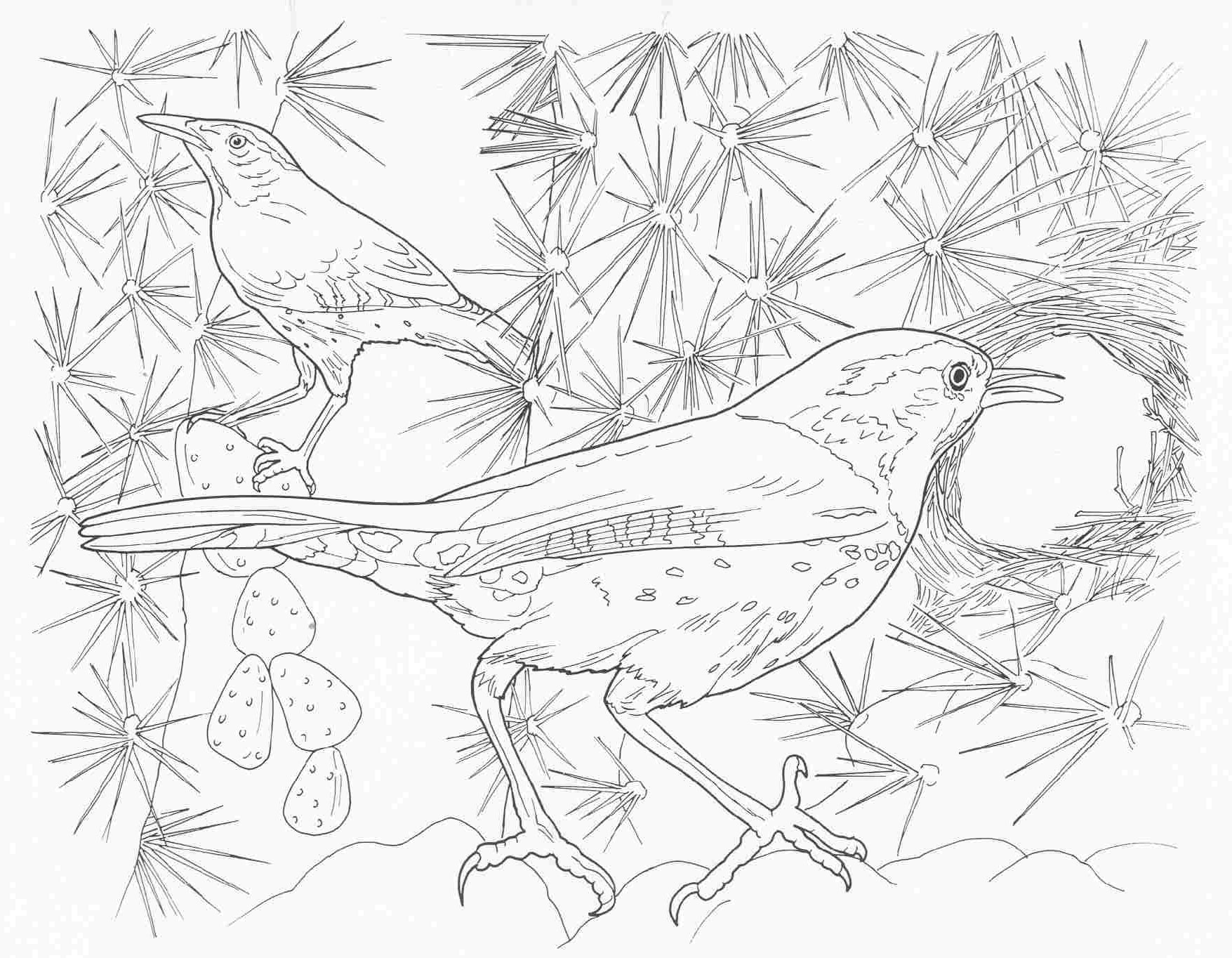 1755x1364 Pleasant Printable Complex Coloring Pages Animal 25705