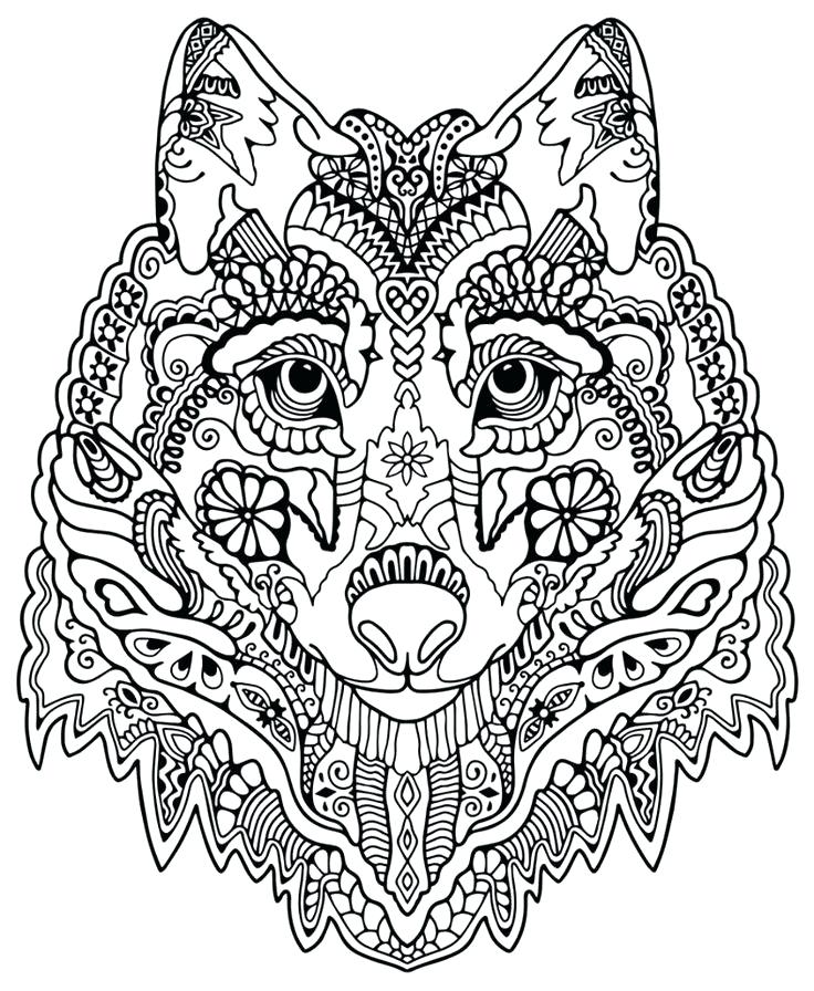 736x896 Page 71