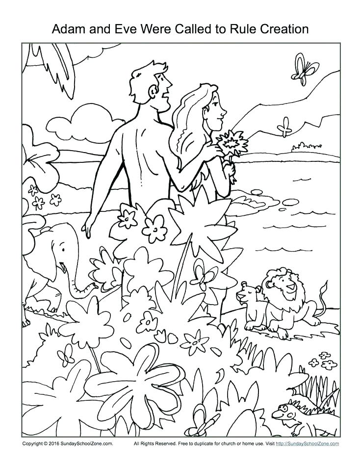 736x952 Coloring Pages For Creation Creation Coloring Pages And Eve Were