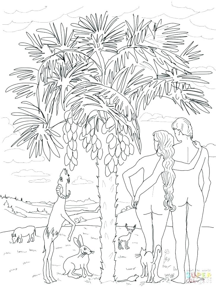 728x971 Creation Coloring Page