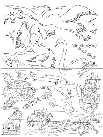 360x480 Creation Coloring Pages Click To See Printable Version Day