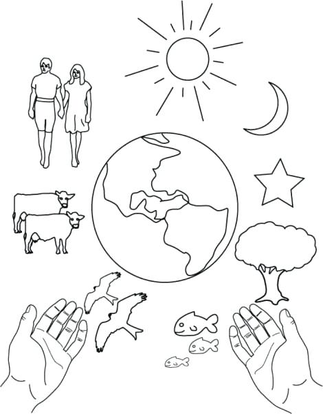 470x601 Free Printable Creation Coloring Pages School Coloring Pages Draw
