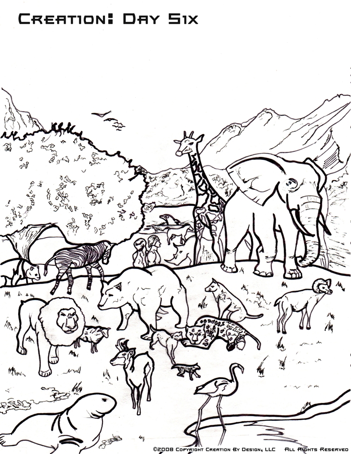 695x900 Creation Coloring Page Creation Coloring Pages In Day Six