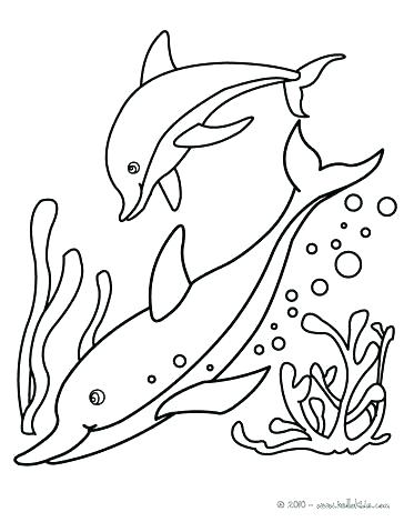 364x470 Dolphin Coloring Ng S Ng S Jumpng Free Printable Dolphin Coloring