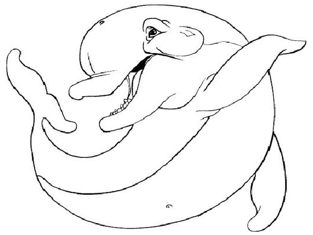 1024x768 Dolphin Coloring Page Elegant Free Printable Dolphin Coloring