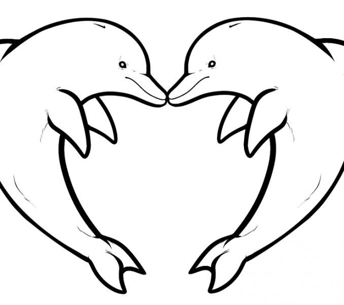 678x600 Dolphin Coloring Pages Printable Coloring Page