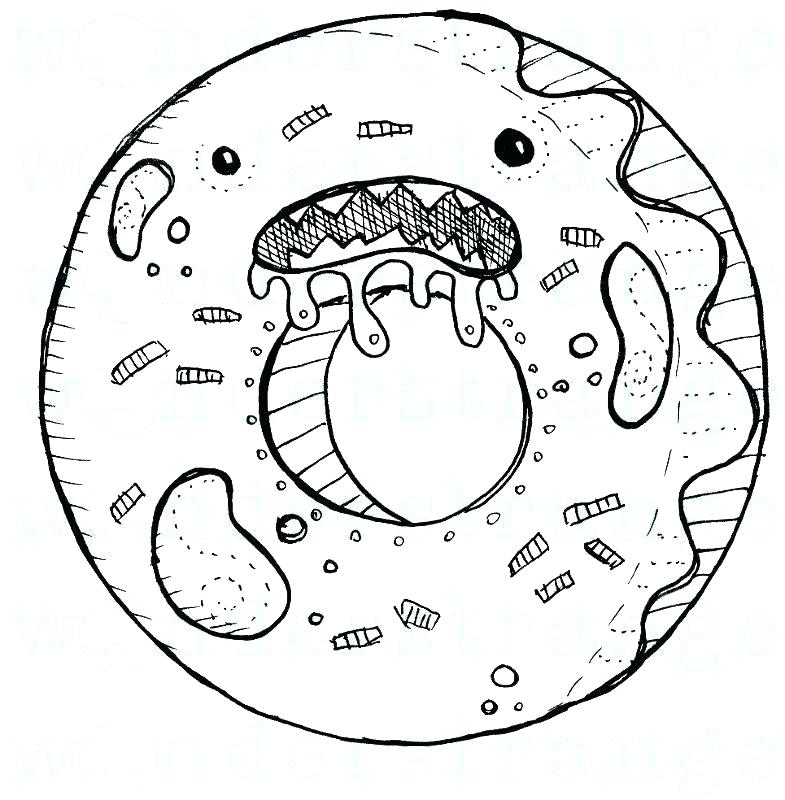 785x800 Tasty Donuts Coloring Page Free Printable Coloring Pages Donuts