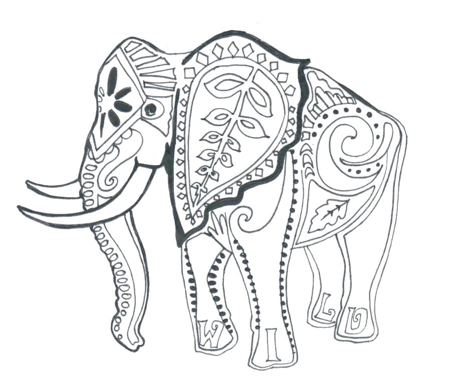 900x781 Elephants Coloring Pages Elephants Coloring Pages Elephant