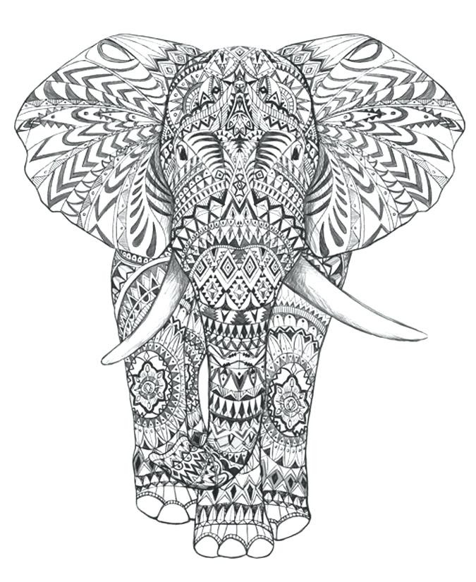 675x825 Free Printable Elephant Coloring Pages For Adults Page Baby