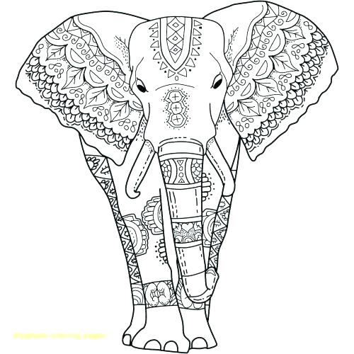 500x500 Elephant Coloring Pages Adults Elephant Coloring Page S Elephant