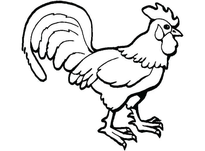 700x516 Animal Coloring Pages That Are Printable Chic Farm Animal Template
