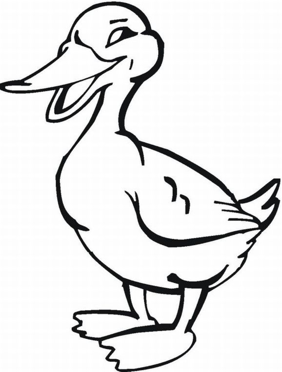 578x763 Coloring Pages Animals Free Printable Farm Animal Coloring Pages