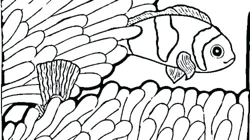 500x280 Fishing Coloring Pages Printable Fish Coloring Book Fish Coloring