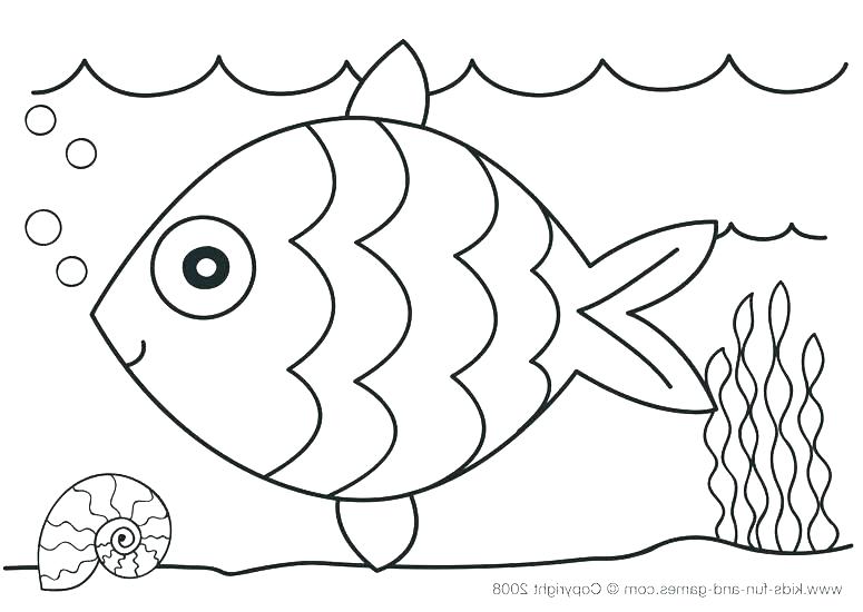 775x550 Fish Color Page Ocean Fish Coloring Pages Fish Color Pages As