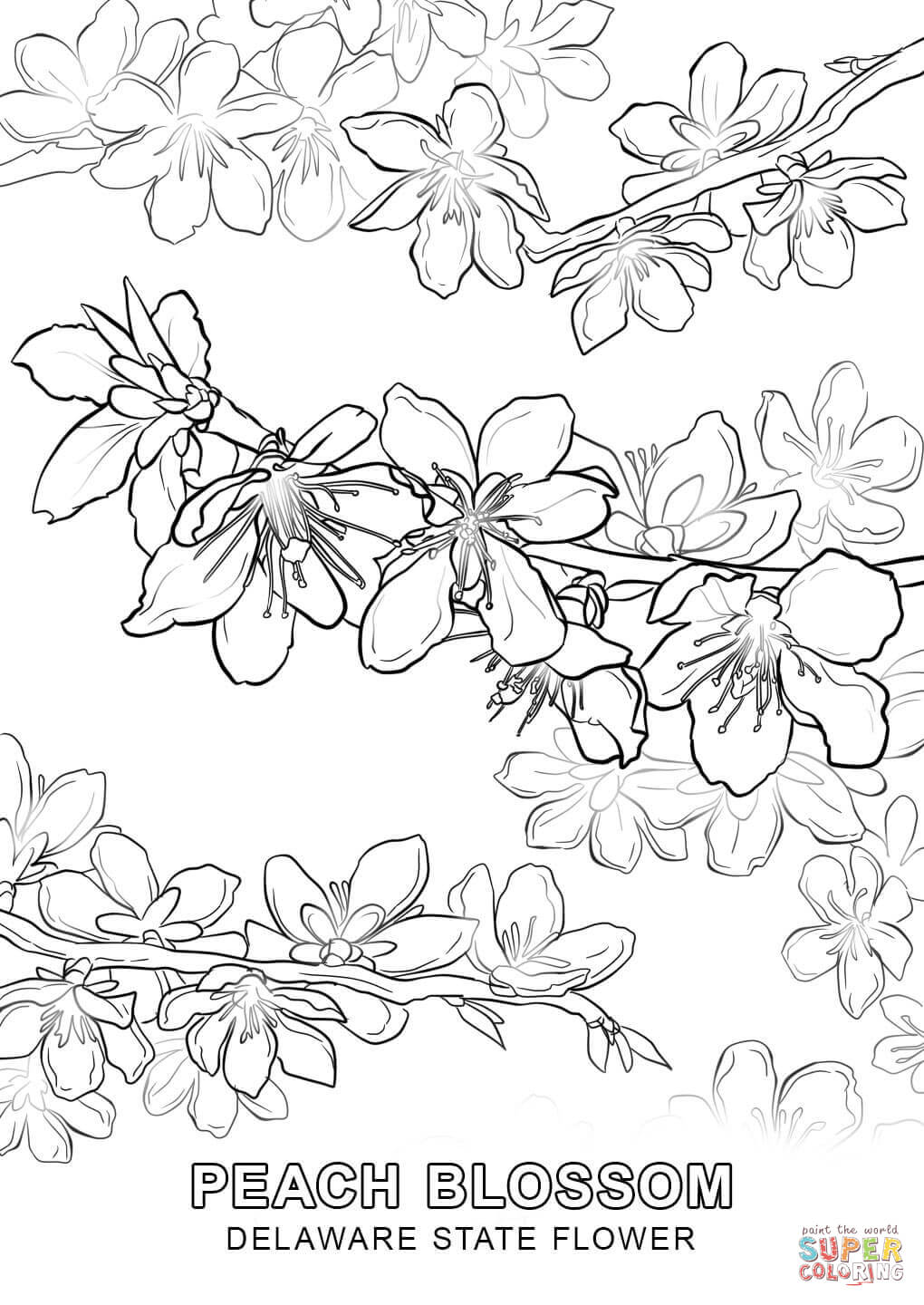 1020x1440 Delivered Delaware State Flag Coloring Page Flower Free Printable