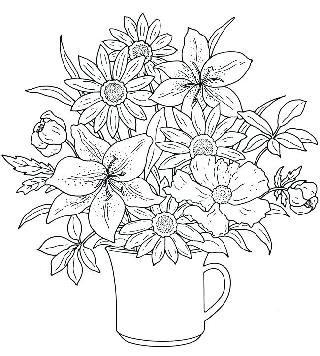 650x722 Flower Images Coloring Pages Professional