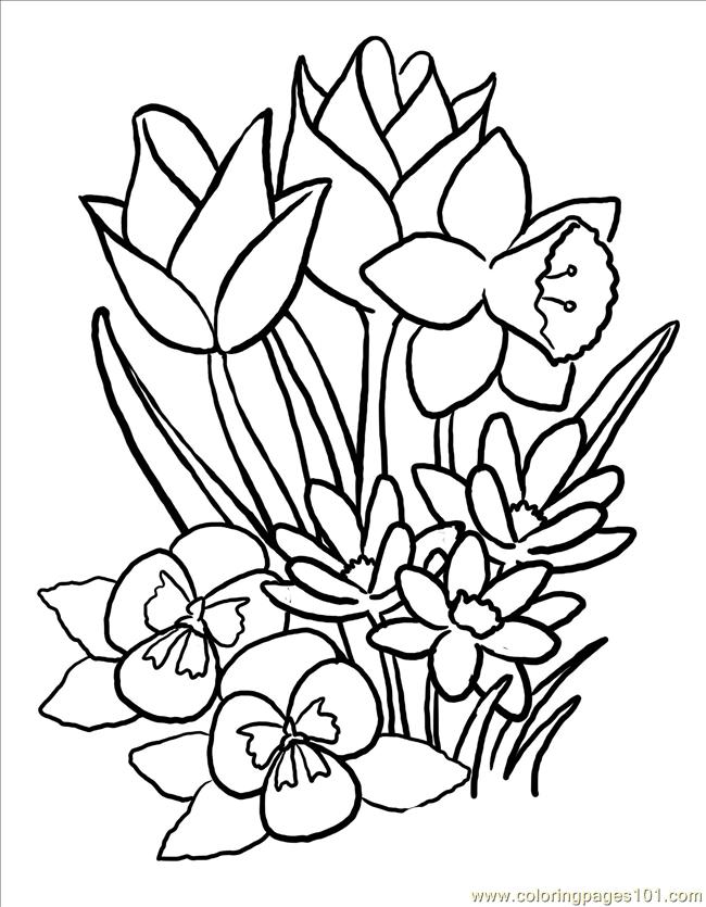 650x835 Free Spring Flower Coloring Pages Coloring