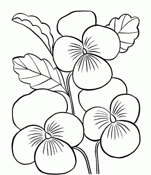 530x613 9 Best Drawings Images On Drawing Flowers, Coloring