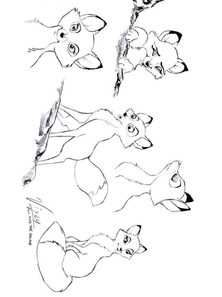 750x1000 Fox And The Hound Coloring Pages. Free Printable Fox And The Hound
