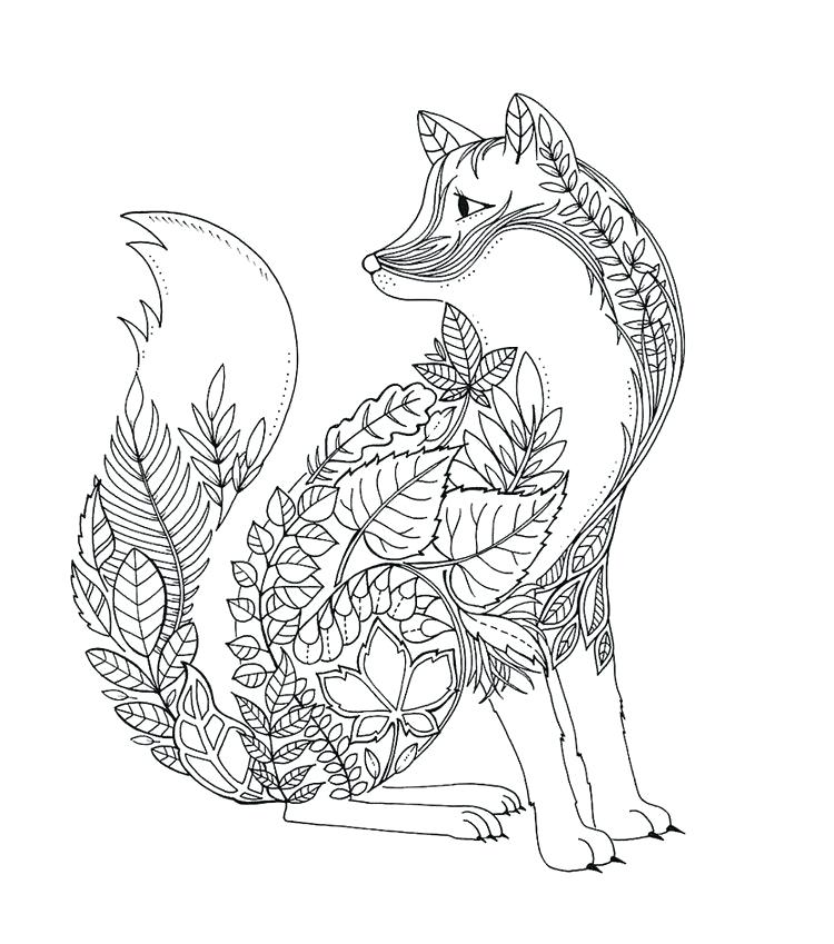 750x849 Fox Coloring Pages