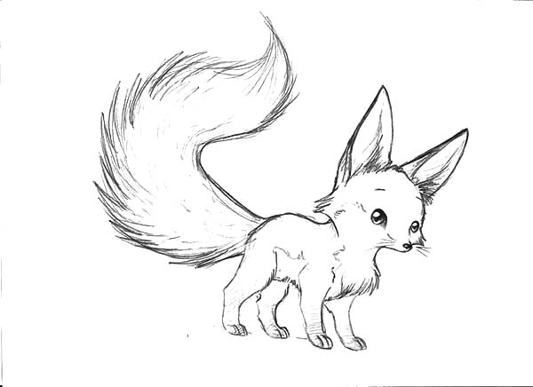 600x436 Cute Baby Fox Dot To Free Printable Coloring Pages