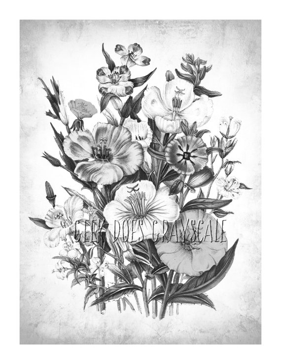 570x738 Grayscale Flowers Grayscale Coloring Page Adult Coloring